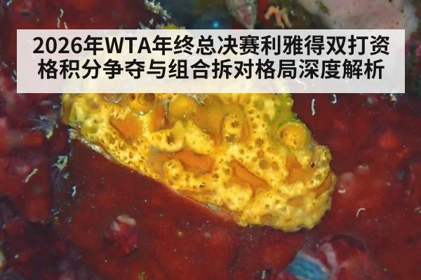 2026年WTA年终总决赛利雅得双打资格积分争夺与组合拆对格局深度解析